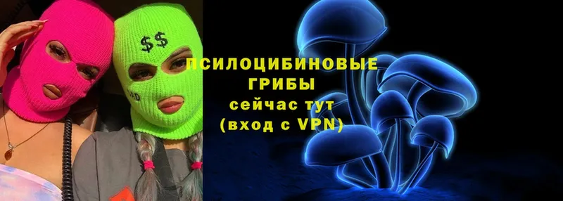 сайты даркнета формула  МЕГА зеркало  Дмитриев  Псилоцибиновые грибы Psilocybe 